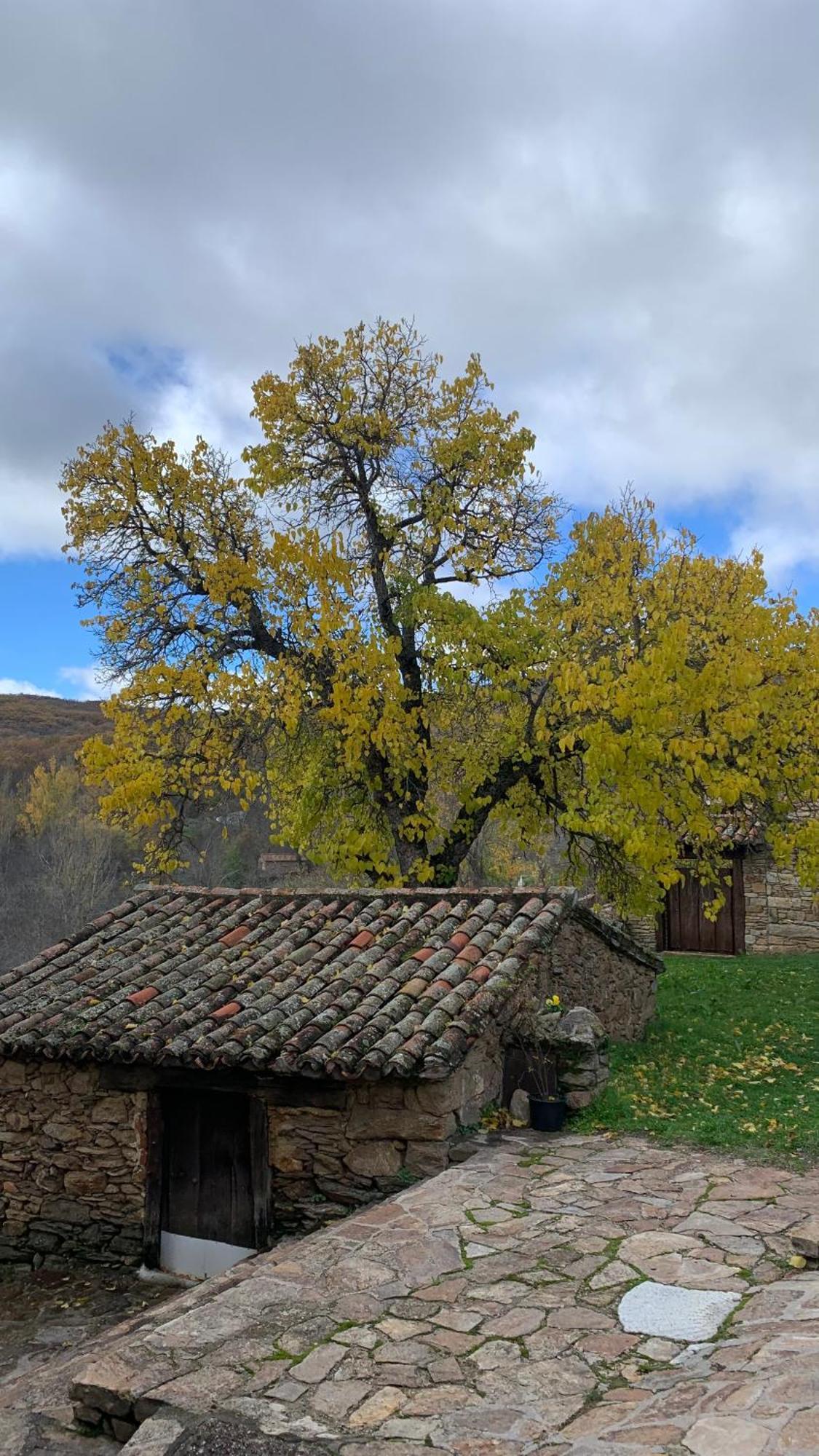Al Viento, Alojamiento&Turismo Rural Prádena del Rincón Pradena del Rincon Exterior foto