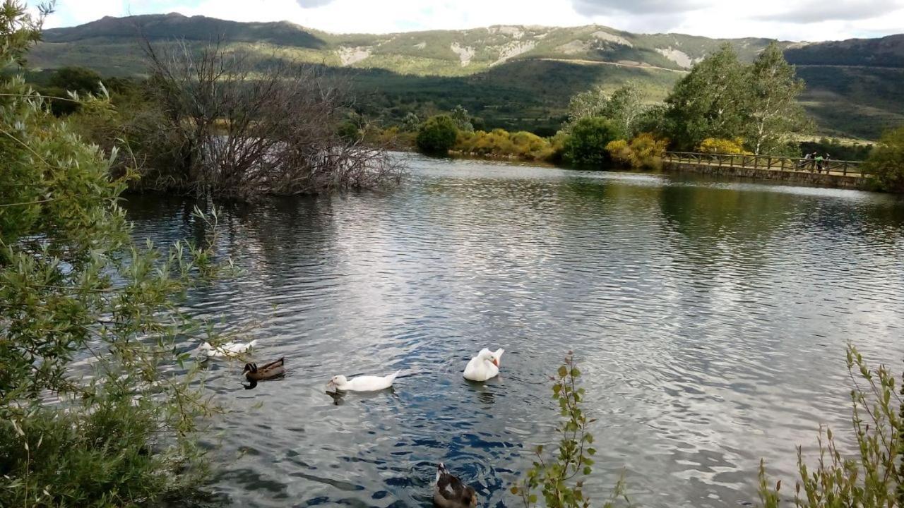 Al Viento, Alojamiento&Turismo Rural Prádena del Rincón Pradena del Rincon Exterior foto