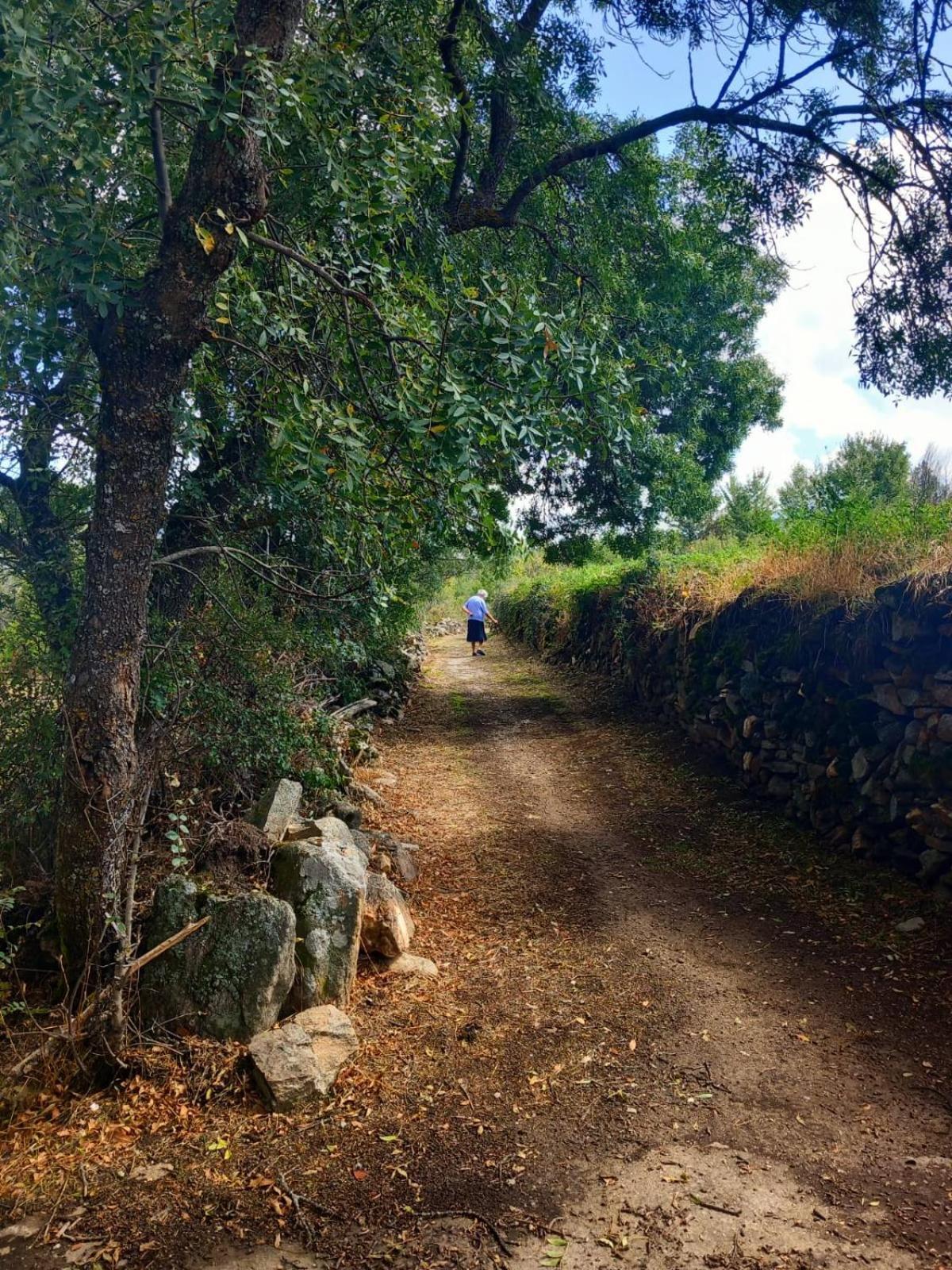 Al Viento, Alojamiento&Turismo Rural Prádena del Rincón Pradena del Rincon Exterior foto