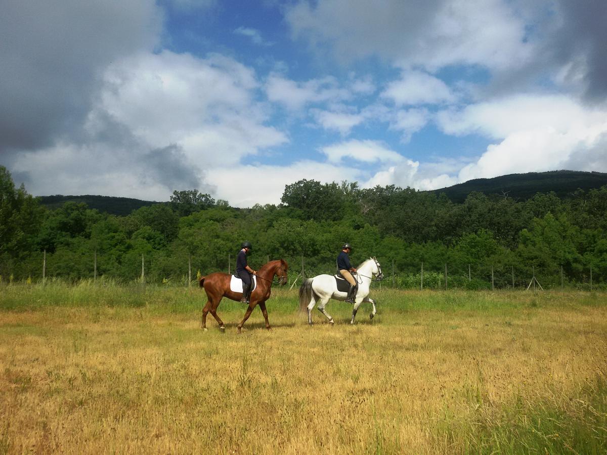 Al Viento, Alojamiento&Turismo Rural Prádena del Rincón Pradena del Rincon Exterior foto