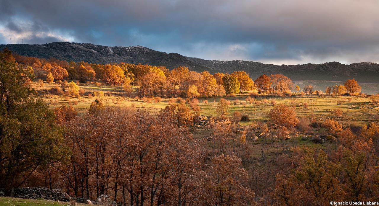 Al Viento, Alojamiento&Turismo Rural Prádena del Rincón Pradena del Rincon Exterior foto